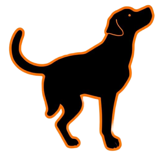 ZIP — the birddog